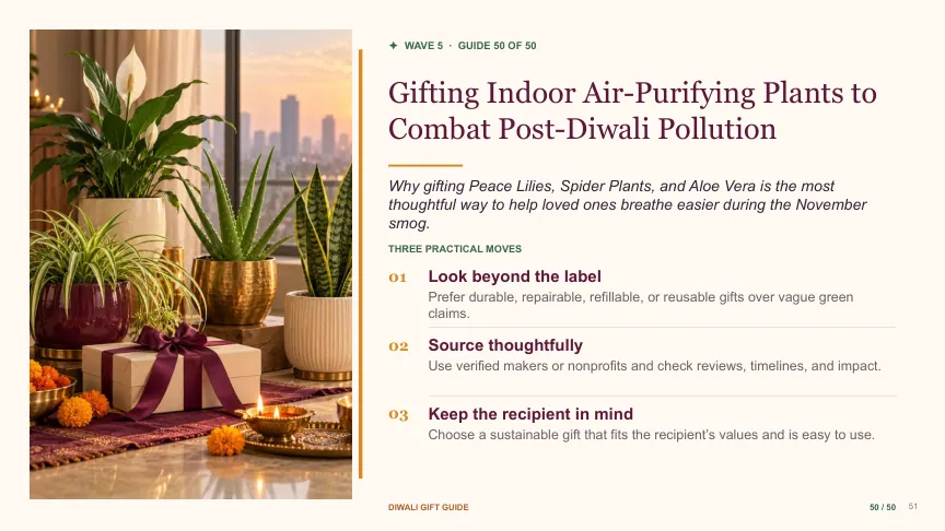 Diwali gift guide slide 50: Gifting Indoor Air-Purifying Plants to Combat Post-Diwali Pollution
